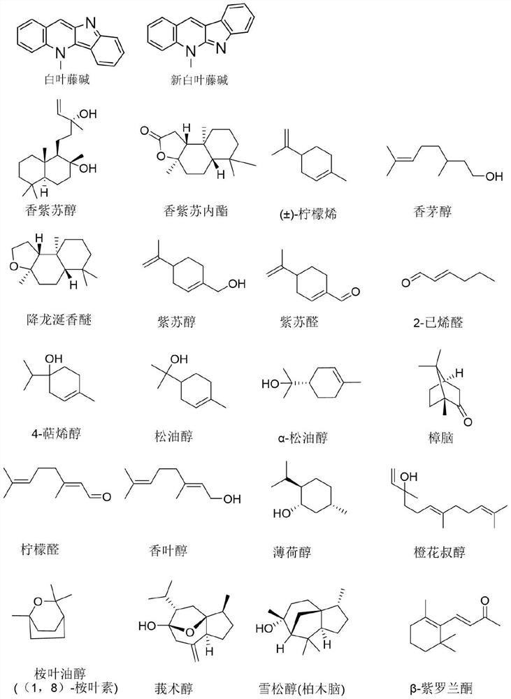 Application of composition containing cryptolepine analogue and small molecule terpene compound in prevention and treatment of plant diseases