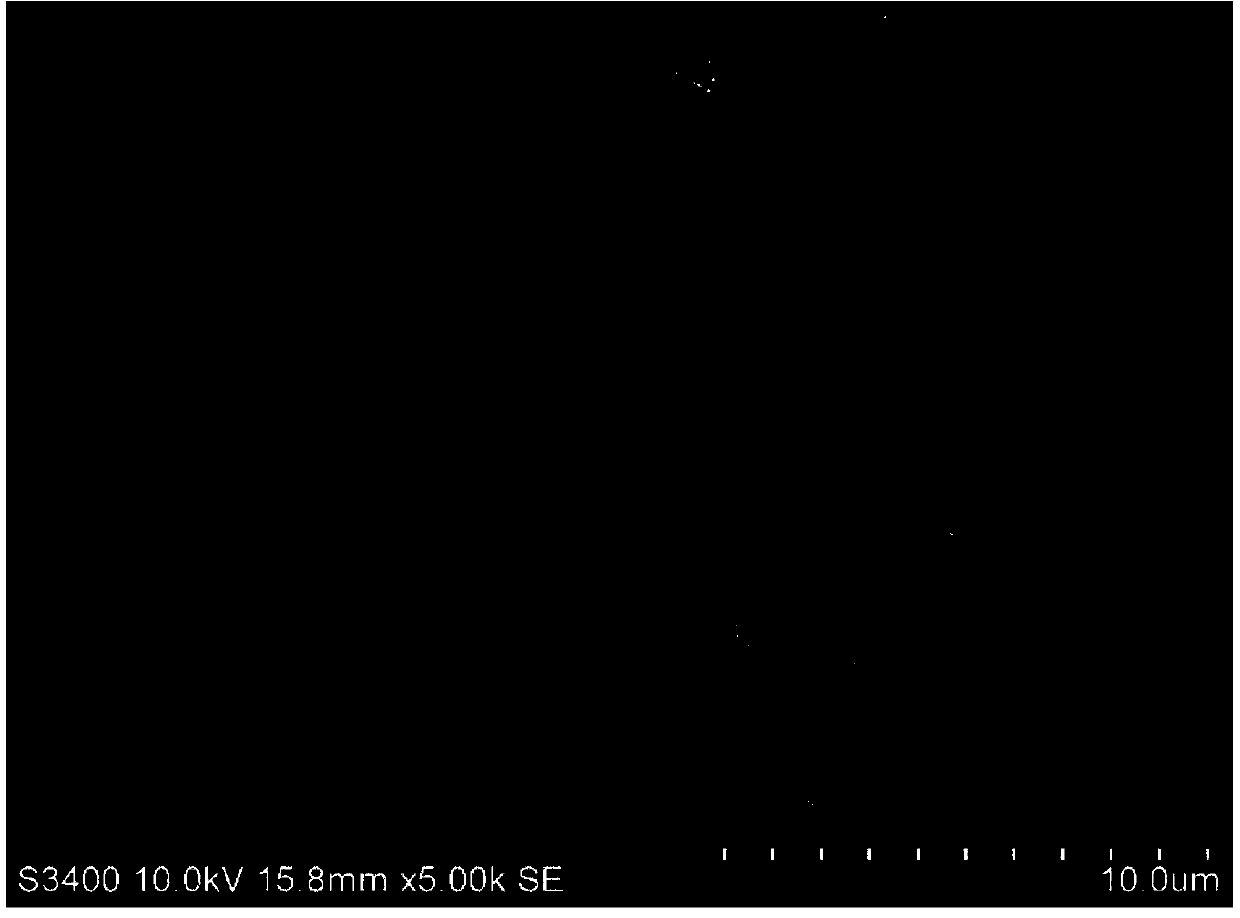 Anodic capillary layer for beta battery and beta battery comprising same