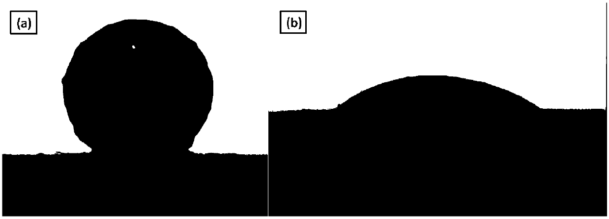 Anodic capillary layer for beta battery and beta battery comprising same