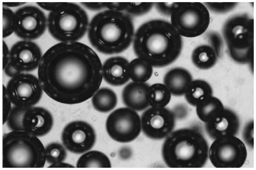 A kind of multinuclear microsphere selective water blocking agent and preparation method thereof