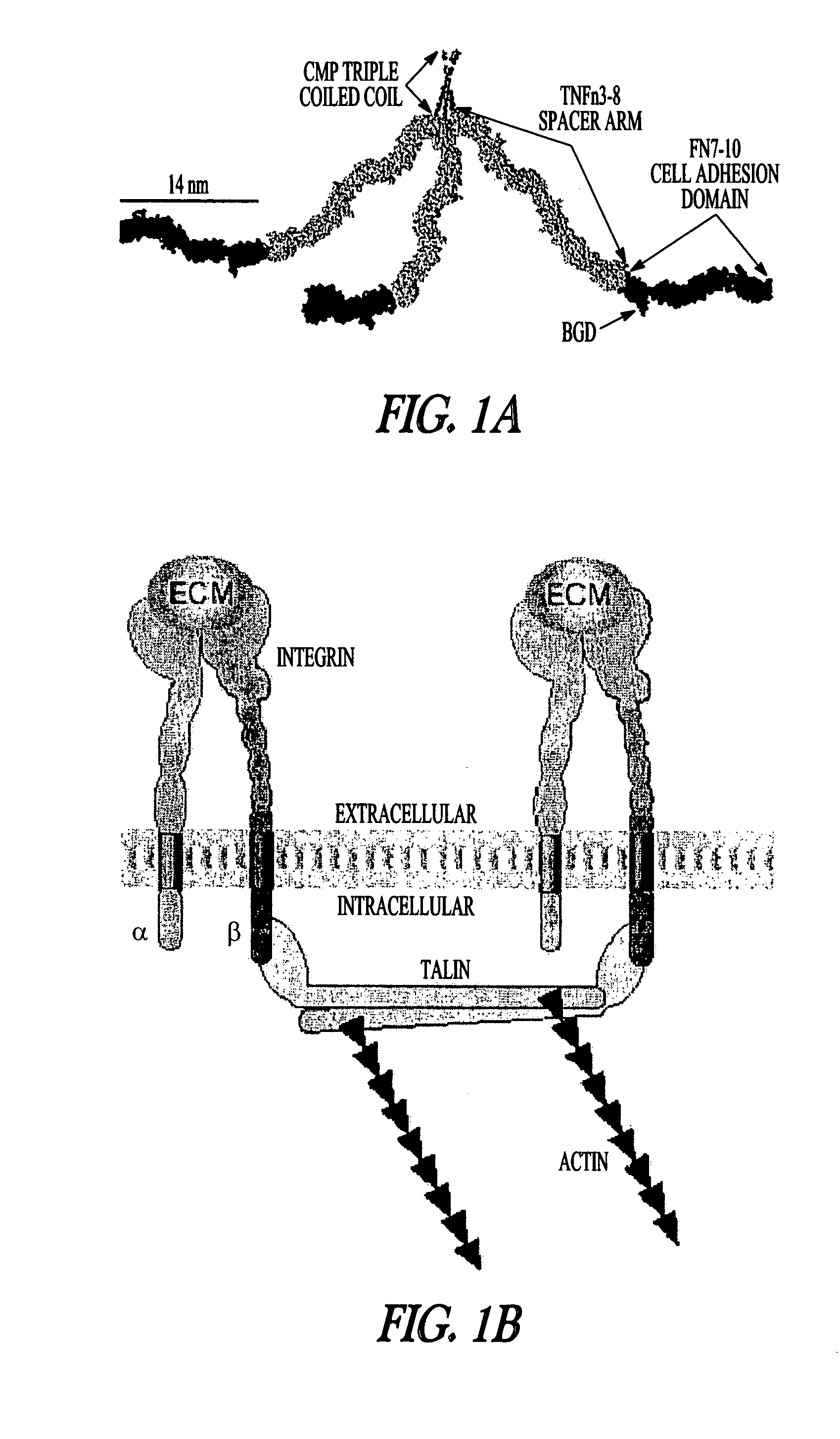 Devices and methods for measuring nanometer level binding reactions