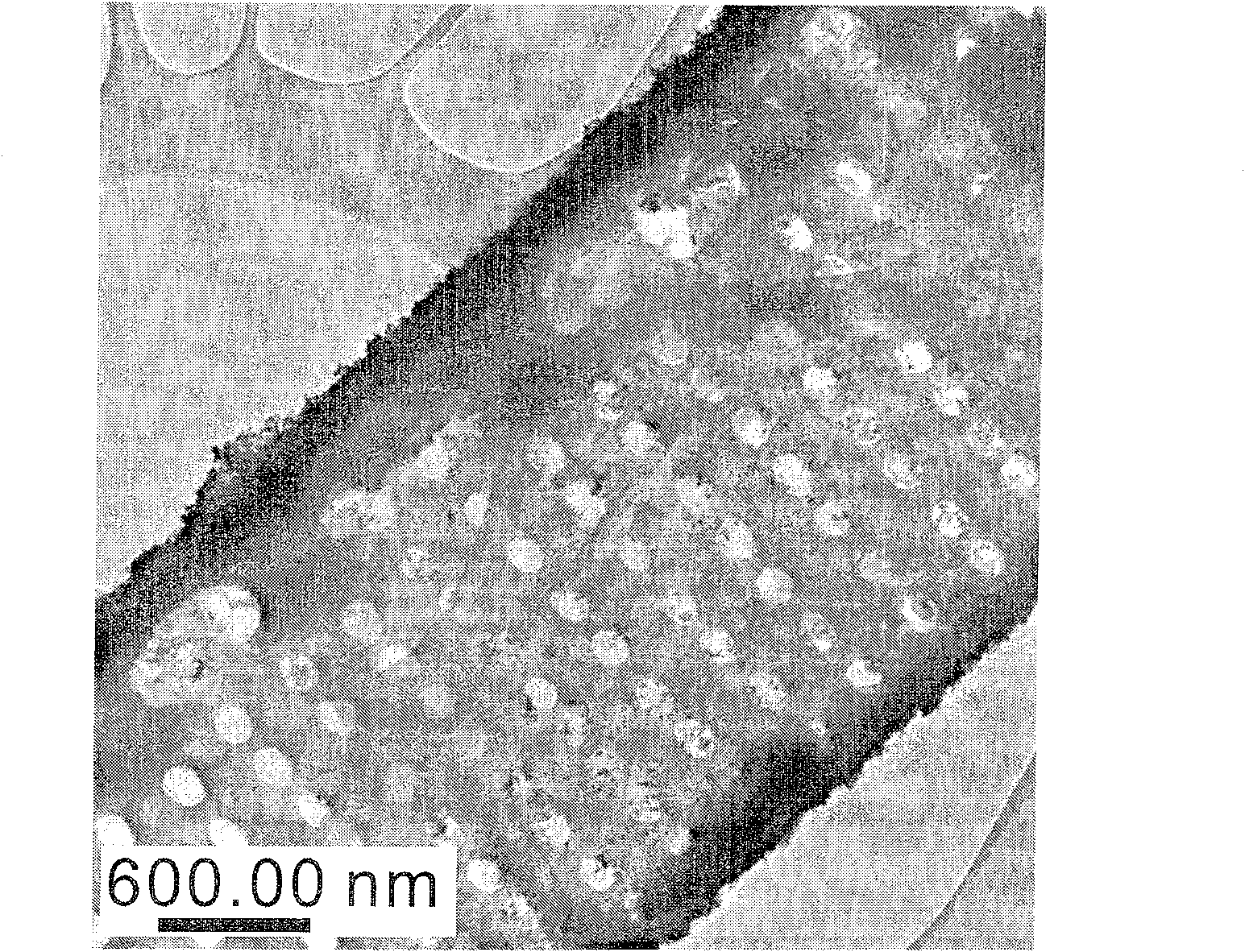 Preparation method of nano magnetite/diatomite composite for removing Cr6+ in water