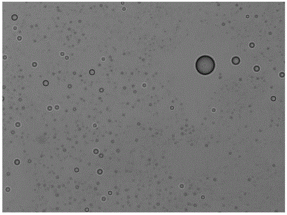 Method for extracting cells from night soil microscopic image