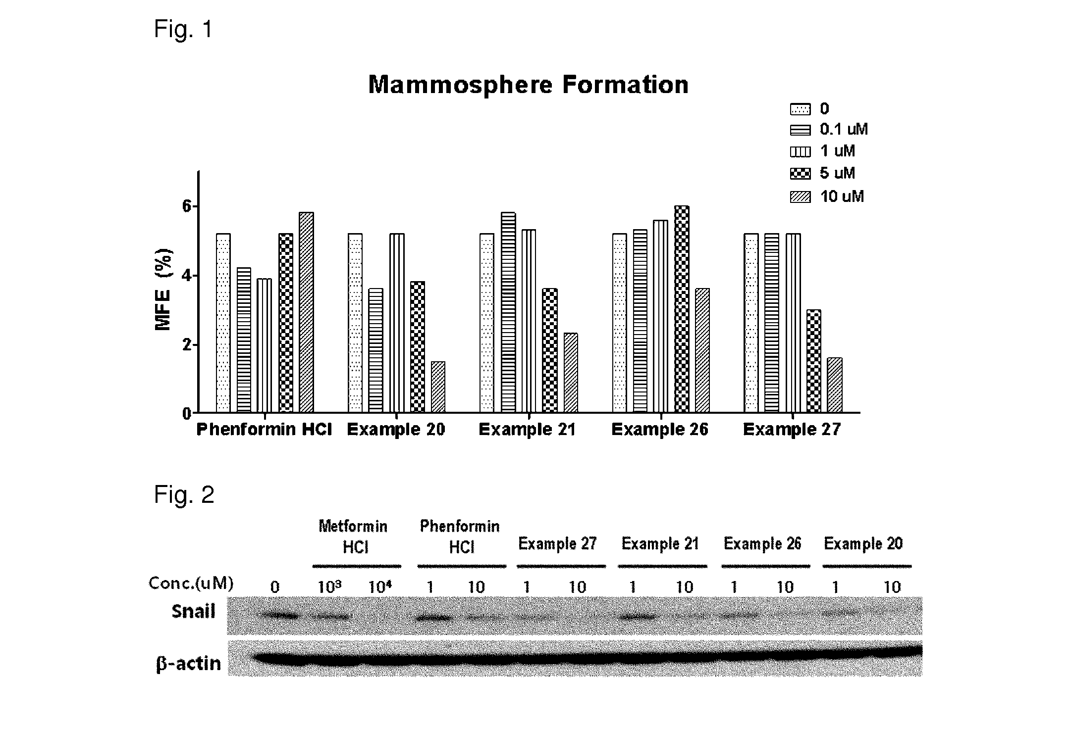 N1-cyclic amine-N5-substituted phenyl biguanide derivatives, methods of preparing the same and pharmaceutical composition comprising the same