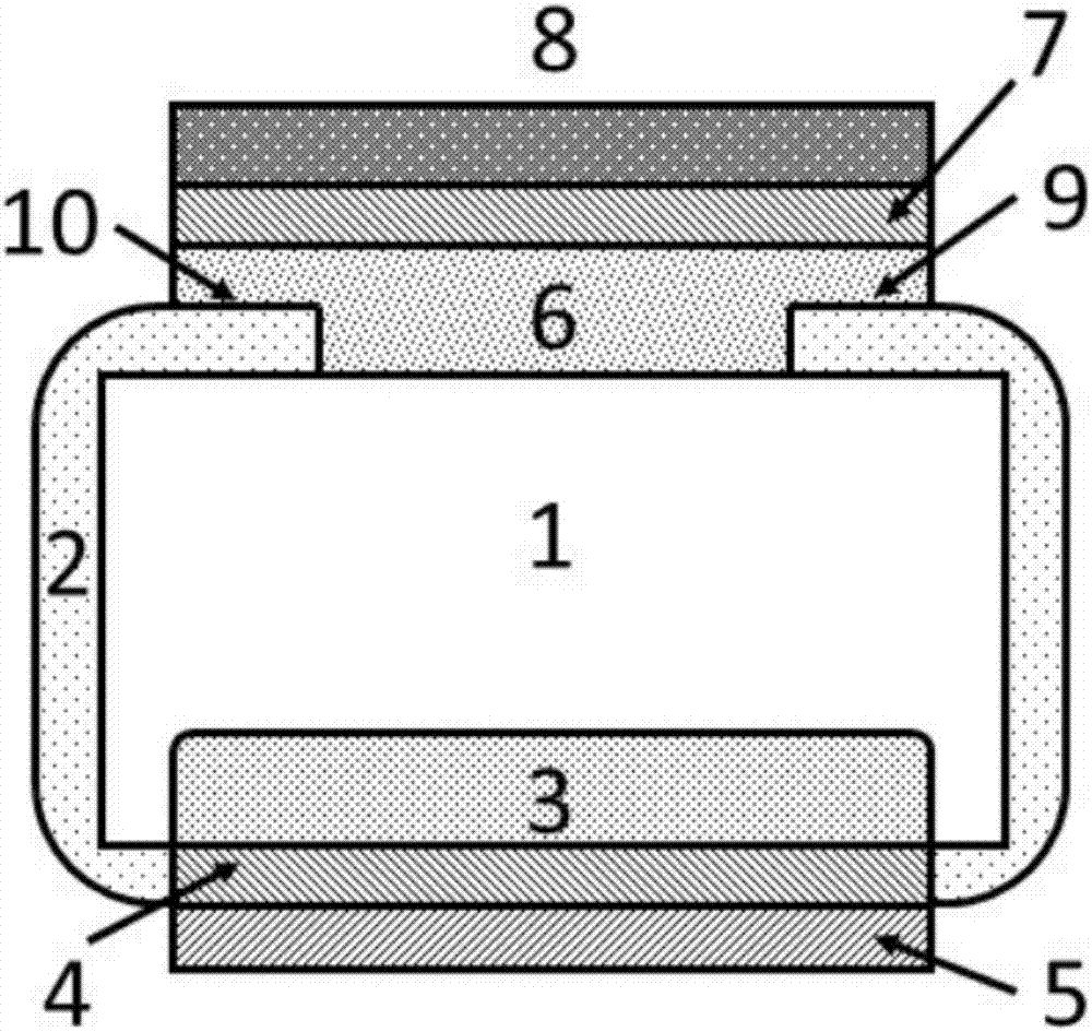 Gallium oxide single crystal based radiation detector and preparation method thereof