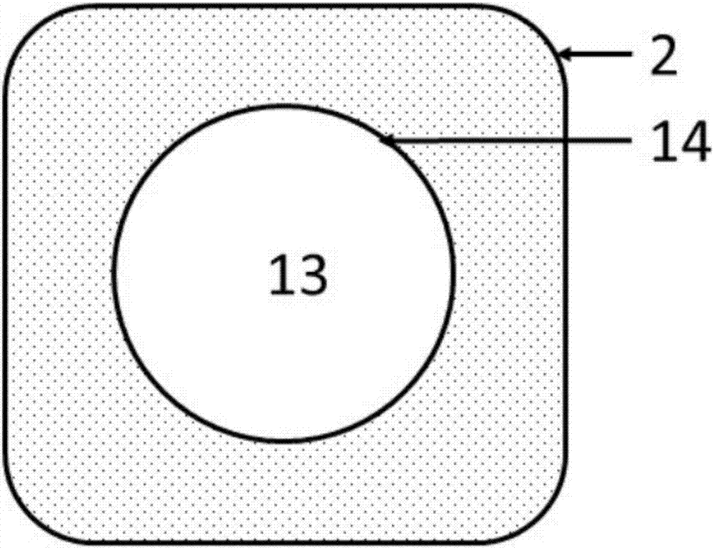 Gallium oxide single crystal based radiation detector and preparation method thereof