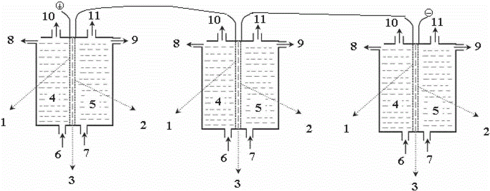 Method for preparing organic acid by electrolyzing organic acid salt on basis of chlor-alkali perfluor ion exchange membrane