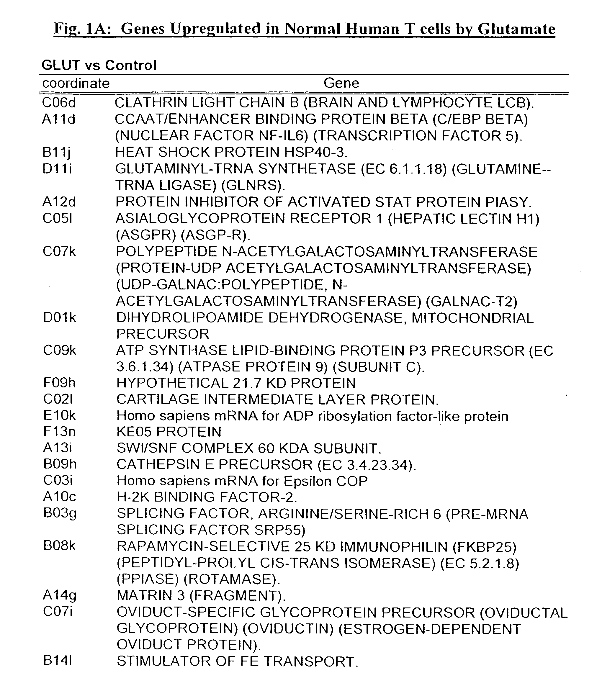 Methods of and pharmaceutical compositions for modulating T-lymphocyte adhesion, migration, gene expression and function by Glutamate and analogs thereof