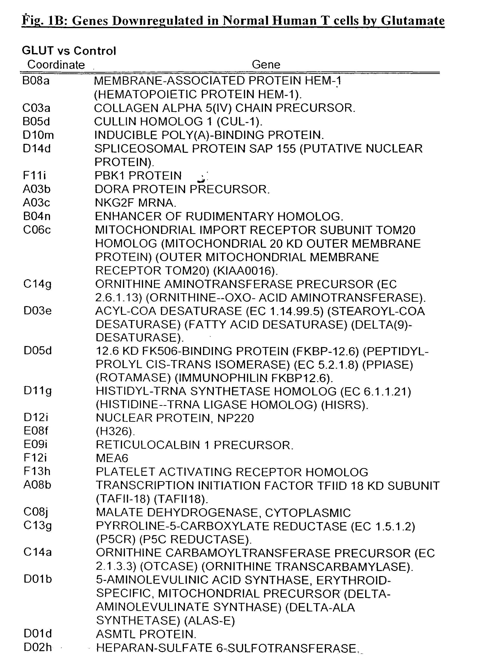 Methods of and pharmaceutical compositions for modulating T-lymphocyte adhesion, migration, gene expression and function by Glutamate and analogs thereof