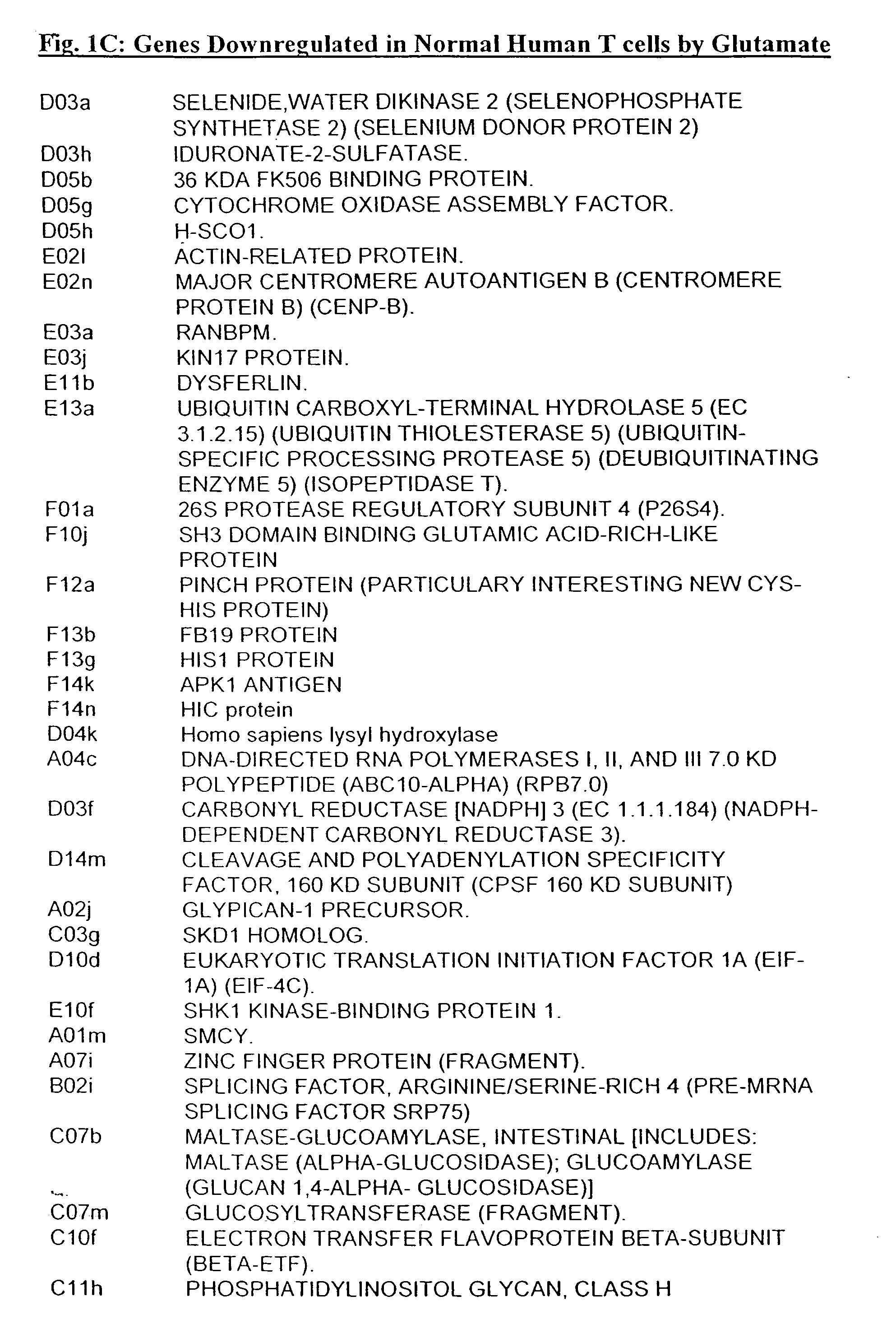 Methods of and pharmaceutical compositions for modulating T-lymphocyte adhesion, migration, gene expression and function by Glutamate and analogs thereof