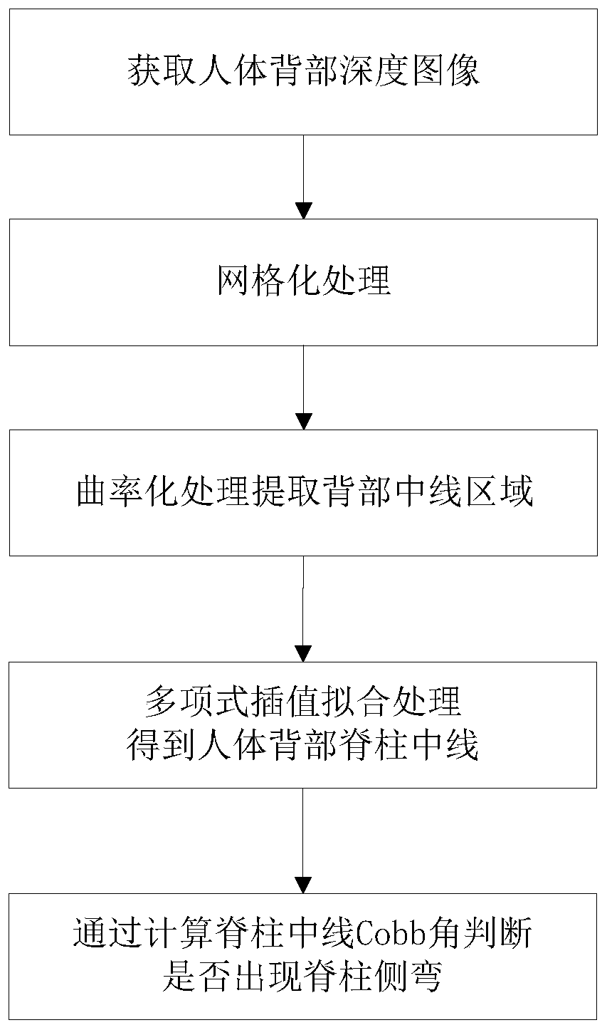 A scoliosis detection method based on polynomial curve fitting