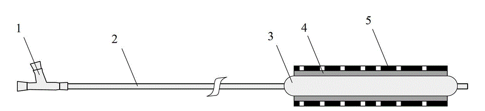 Combined medical instrument formed by drug coated balloon and stent