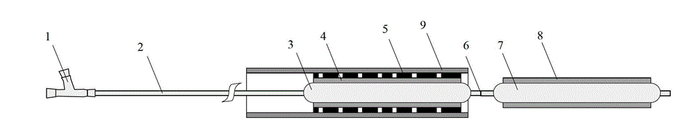 Combined medical instrument formed by drug coated balloon and stent