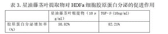 Plukenetia volubilis L. stem leaf extract capable of delaying senescence as well as preparation method and application of extract