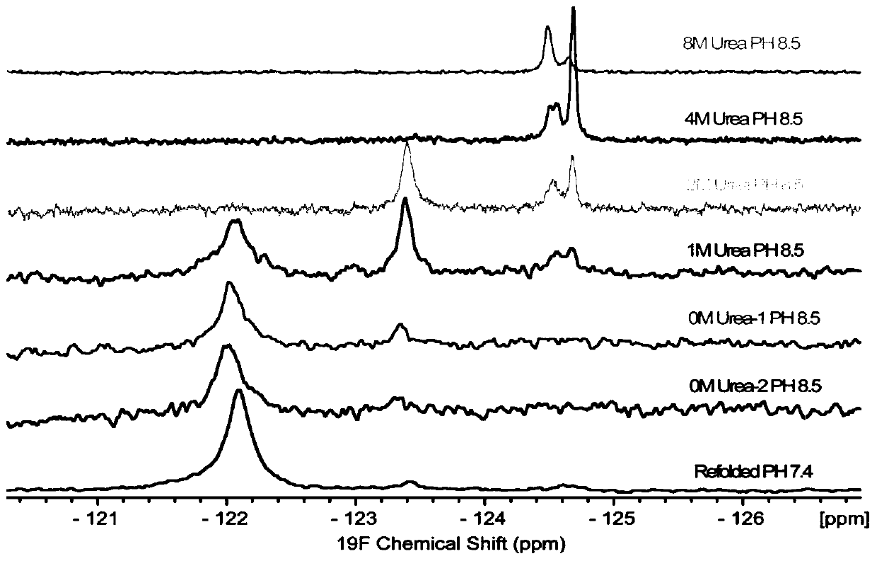 A kind of preparation method of biologically active cholera toxin b subunit protein