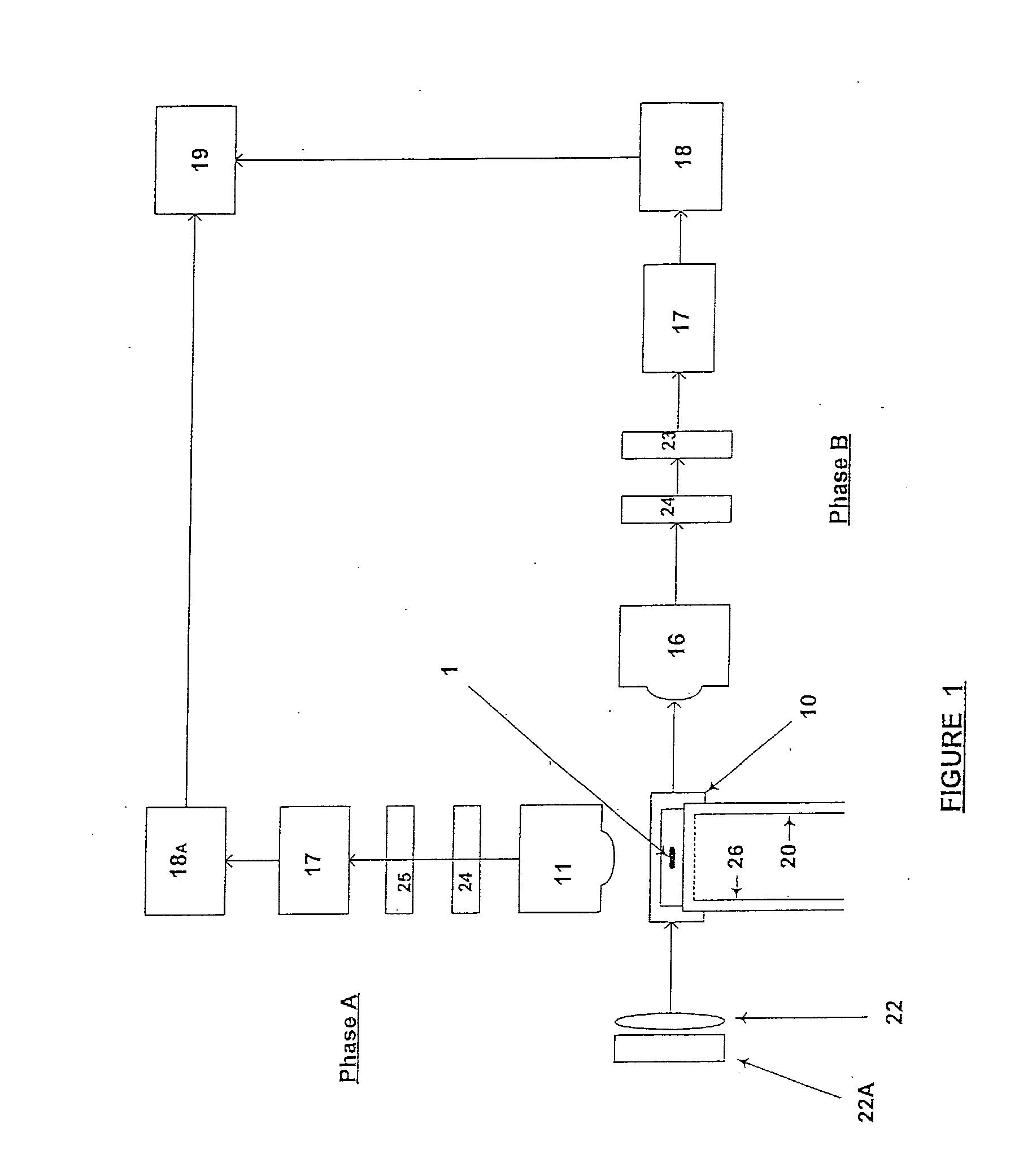 Method and Apparatus For Orienting Aspherical Cells