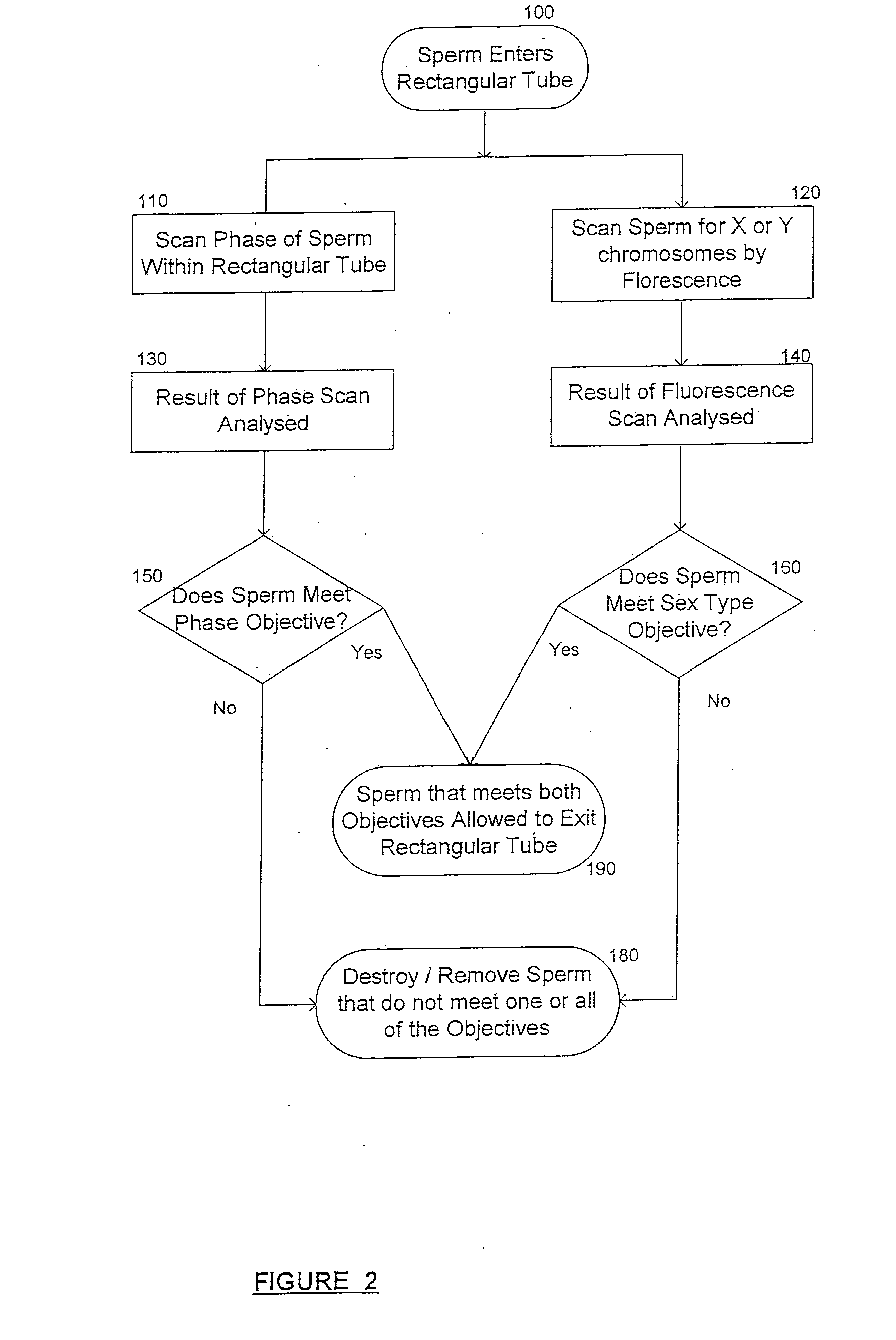 Method and Apparatus For Orienting Aspherical Cells