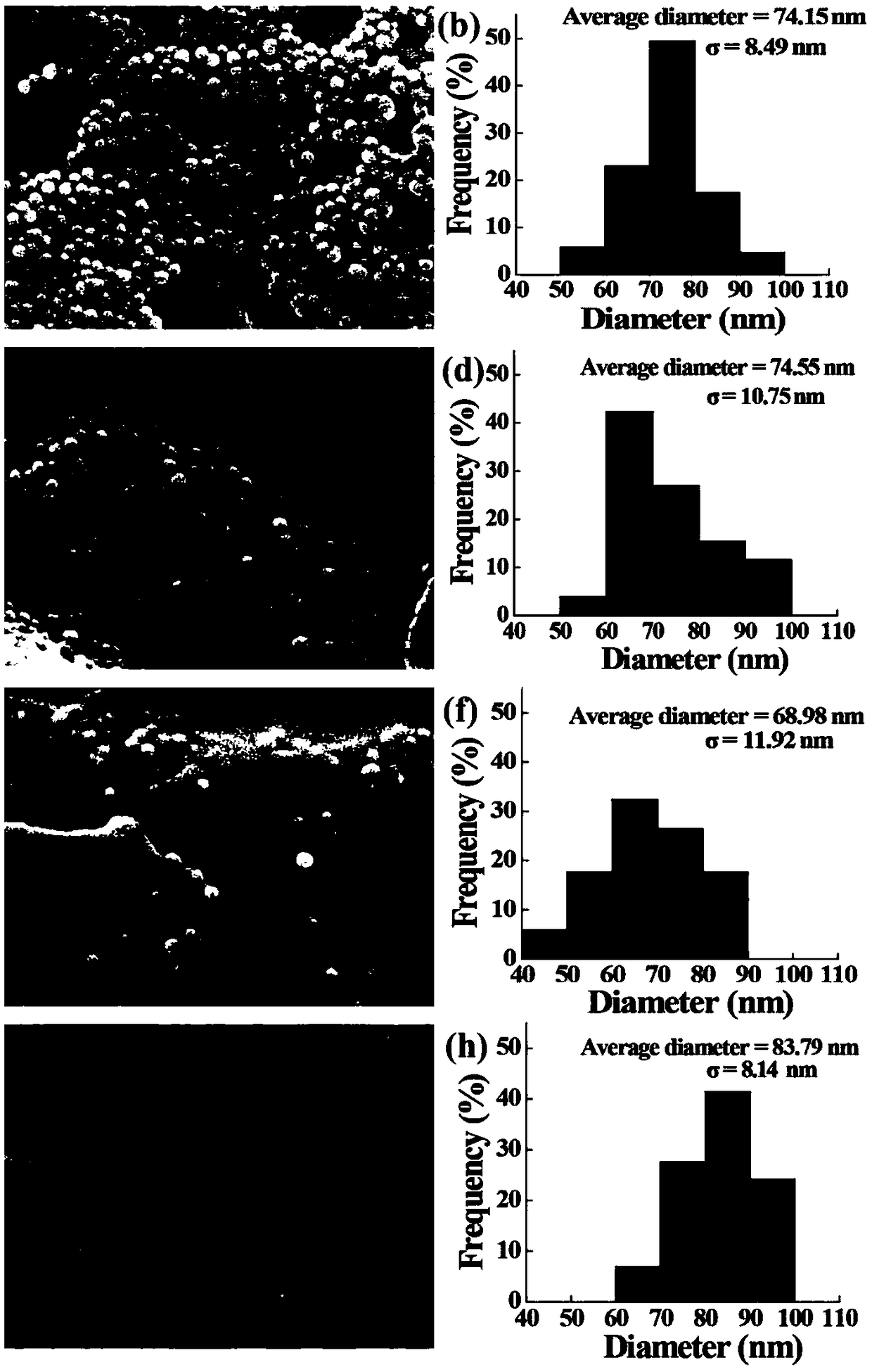 Polypyrrole-polyvinylpyrrolidone nanoparticles and preparation method and application thereof