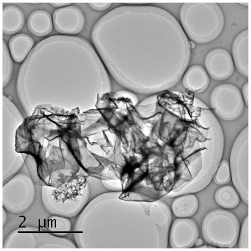 Preparation method of two-dimensional porous titanium dioxide nanosheet