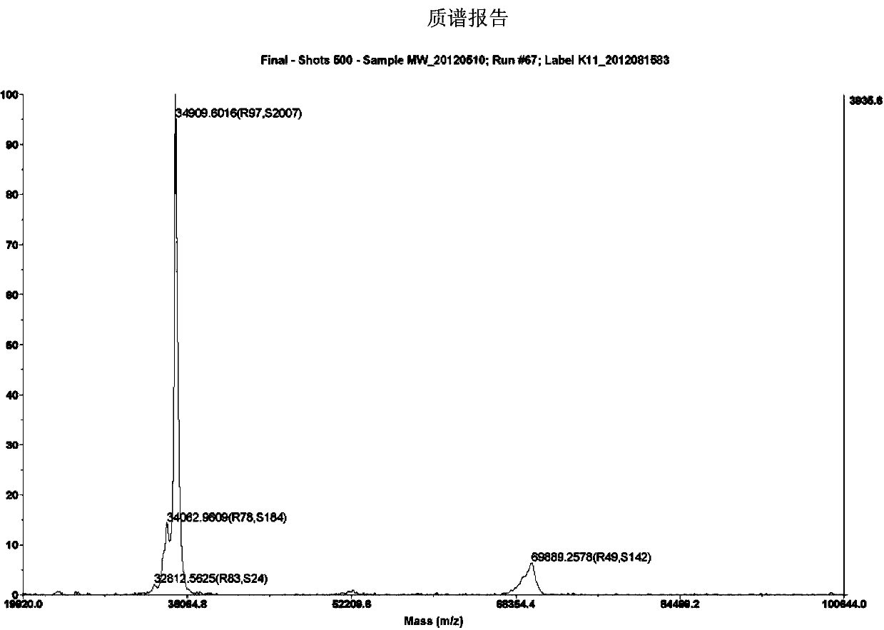 MRSA (Methicillin Resistant Staphylococcus Aureus) vaccine recombinant protein antigen I1C and preparation method and application thereof