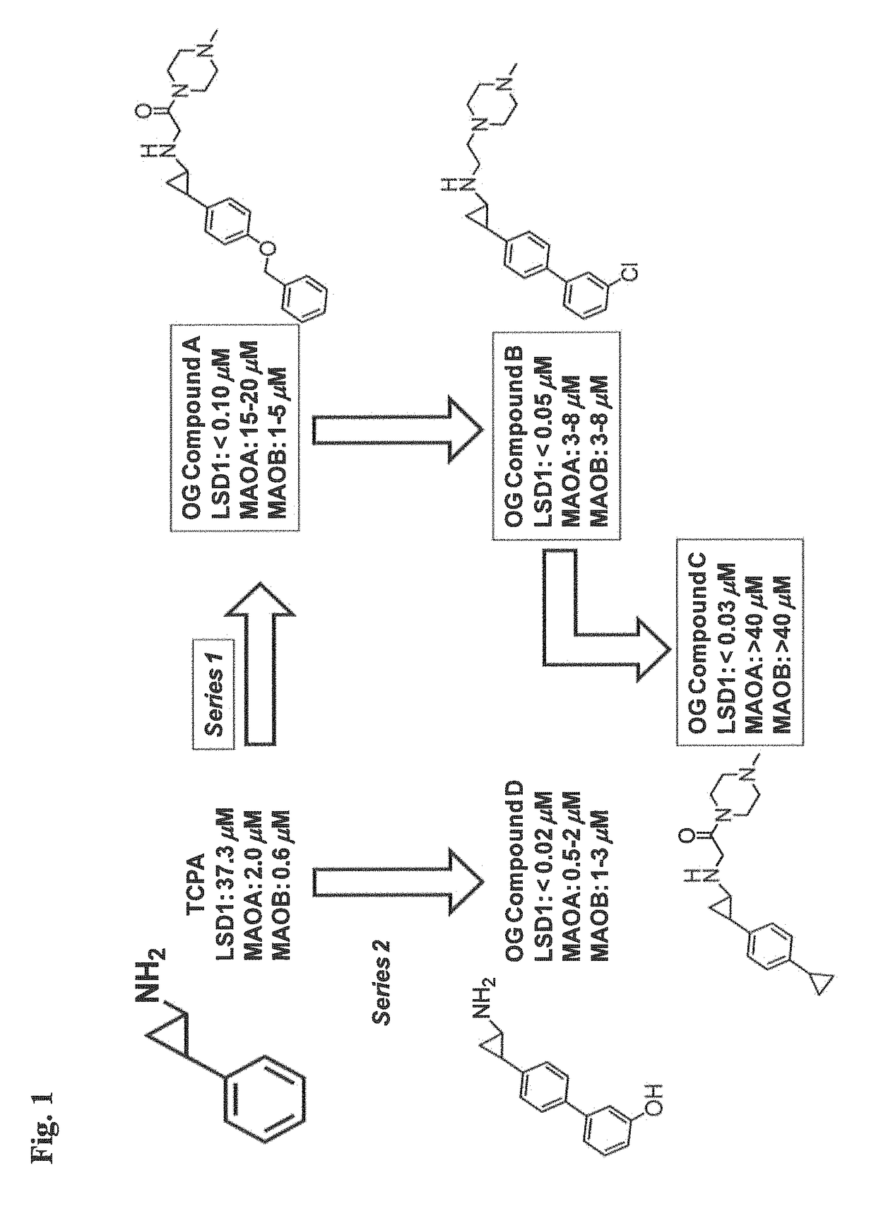 Lysine demethylase inhibitors for diseases and disorders associated with Flaviviridae