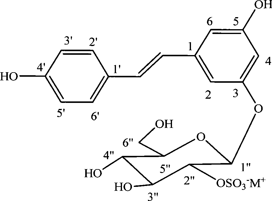 Use of giant knotweed rhizome extract in preparing product for resisting AIDS virus and hepatitis B