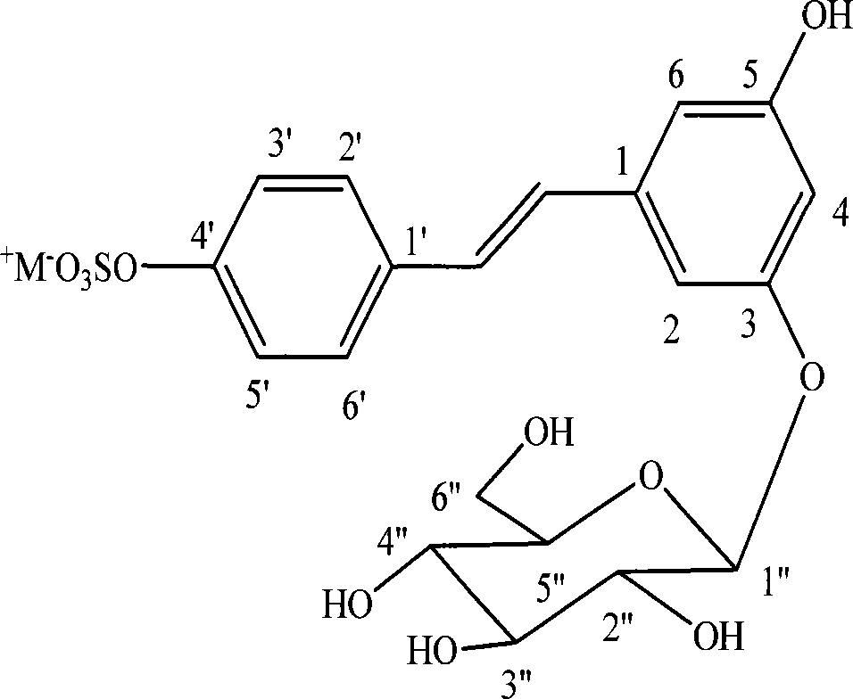 Use of giant knotweed rhizome extract in preparing product for resisting AIDS virus and hepatitis B