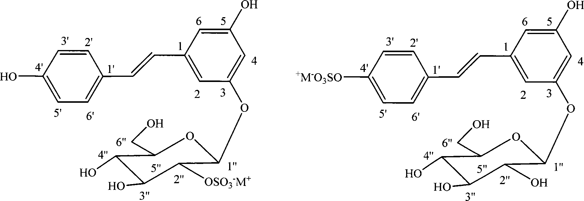 Use of giant knotweed rhizome extract in preparing product for resisting AIDS virus and hepatitis B