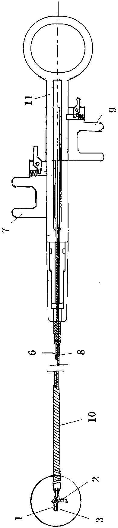 Double-head endoscope hose type sampling forceps