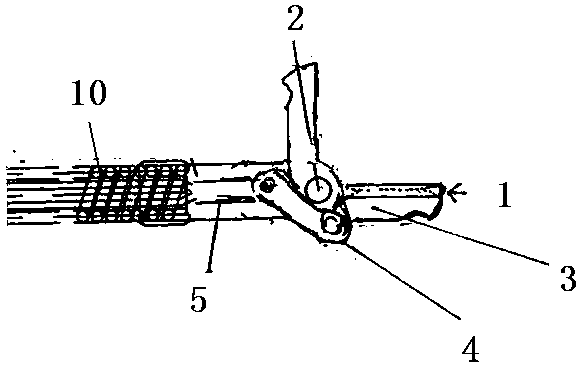 Double-head endoscope hose type sampling forceps