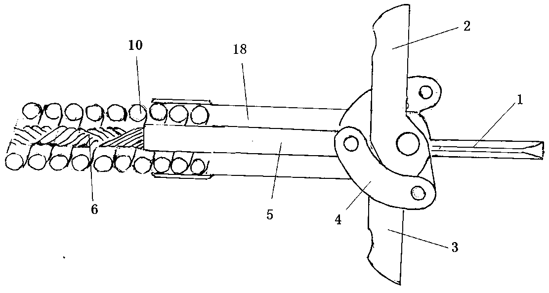 Double-head endoscope hose type sampling forceps