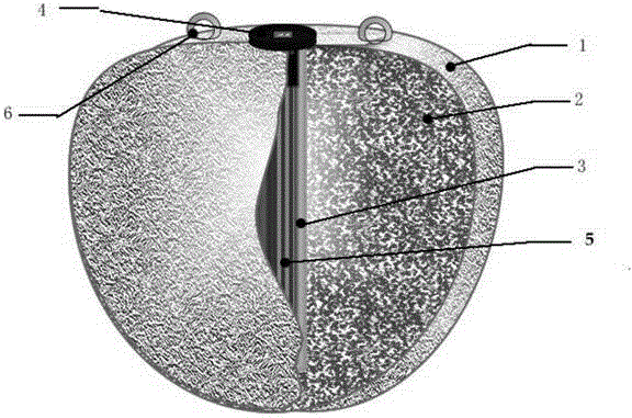 Portable multi-energy and multi-use heater made of shaped composite phase-change materials