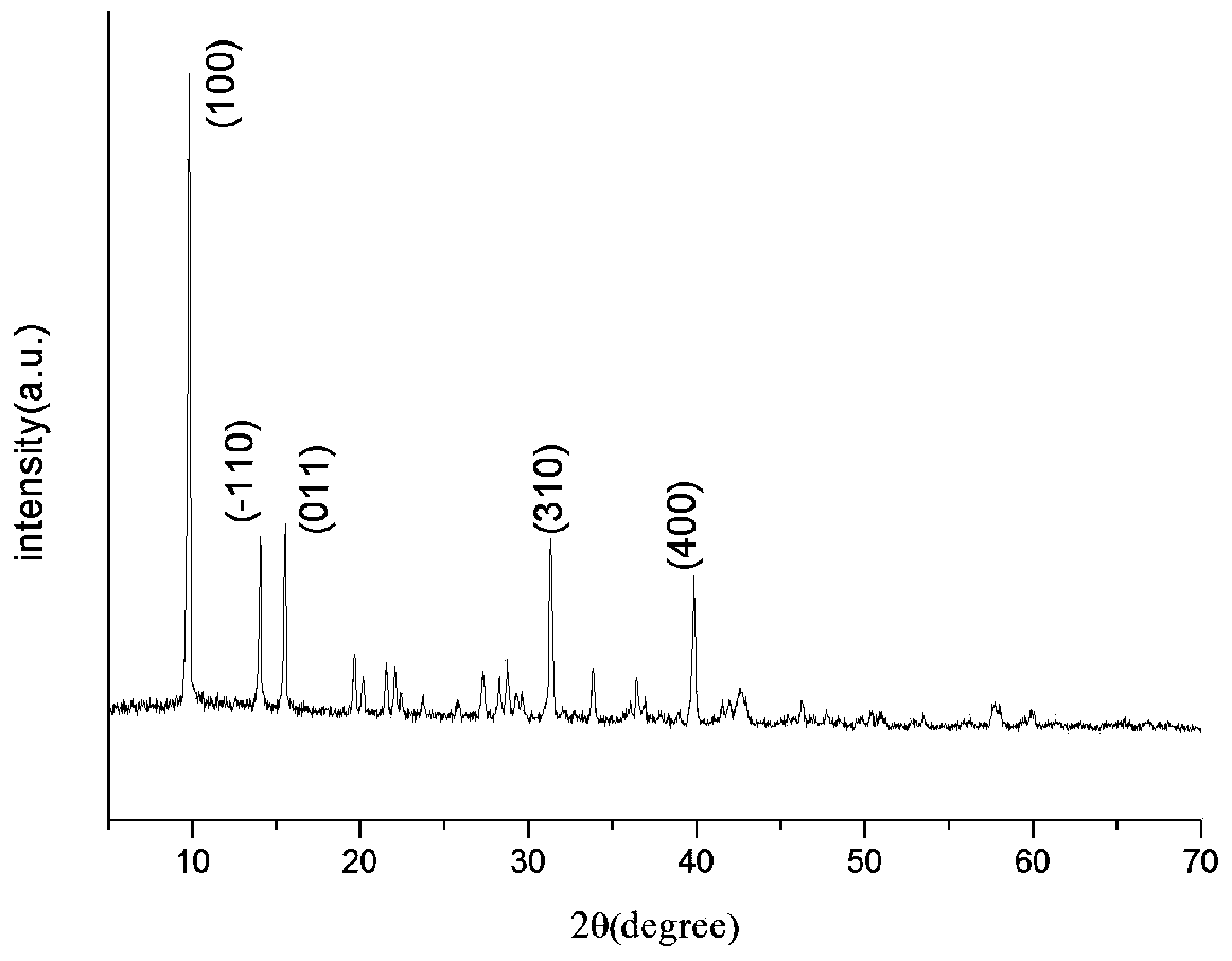 Method for preparing plate-like basic magnesium carbonate by template-induced/homogeneous precipitation