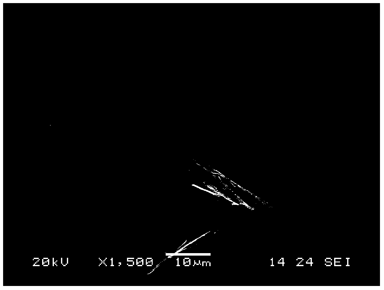 Method for preparing plate-like basic magnesium carbonate by template-induced/homogeneous precipitation