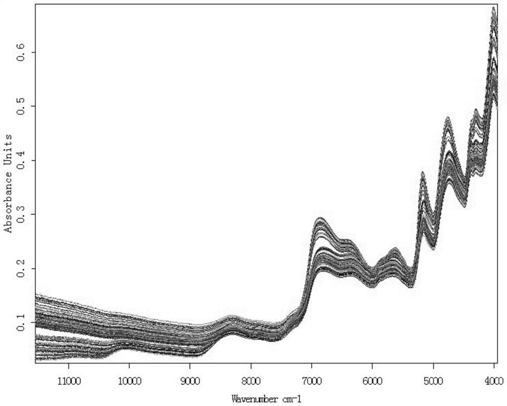 Dampness-resolving and toxin-vanquishing composition quality control method based on near infrared spectroscopy