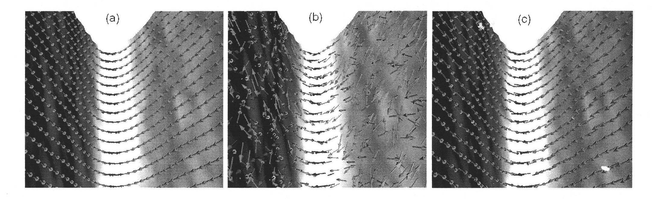 Three-dimensional brain magnetic resonance image brain cortex surface maximum principal direction field diffusion method