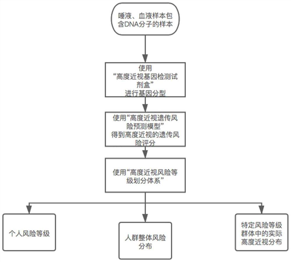 High myopia gene detection kit and high myopia genetic risk assessment system and method