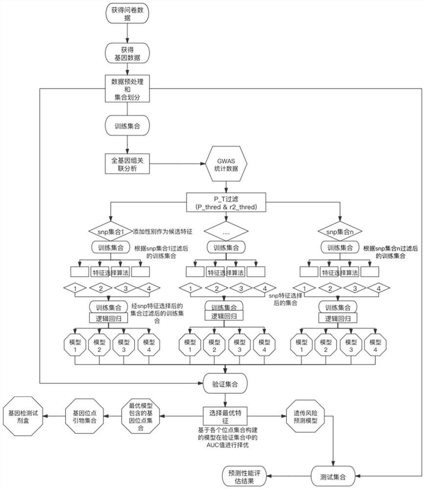 High myopia gene detection kit and high myopia genetic risk assessment system and method