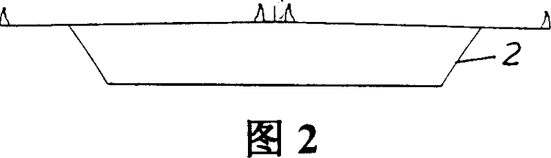 Maintenance track structure for buffeting control of box main girder cable-stayed bridge