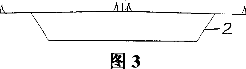 Maintenance track structure for buffeting control of box main girder cable-stayed bridge