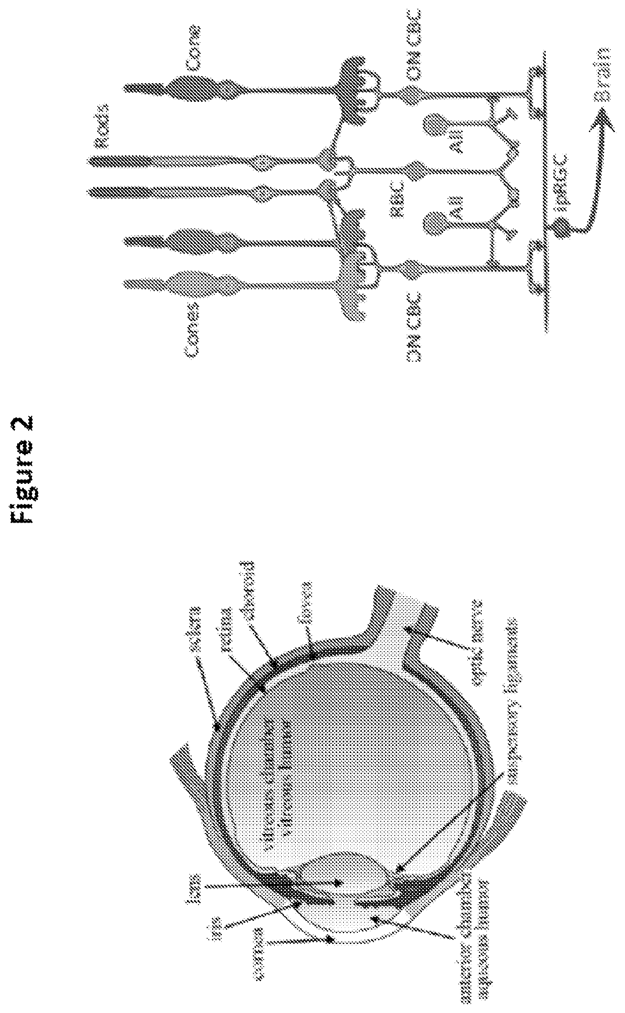 Advanced lighting effects investigation system and computerized method