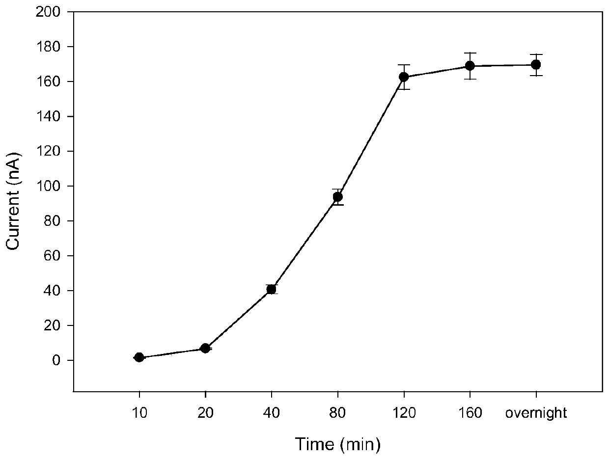 An aptamer probe for detecting two tumor markers, an electrochemical biosensor, its preparation method and application