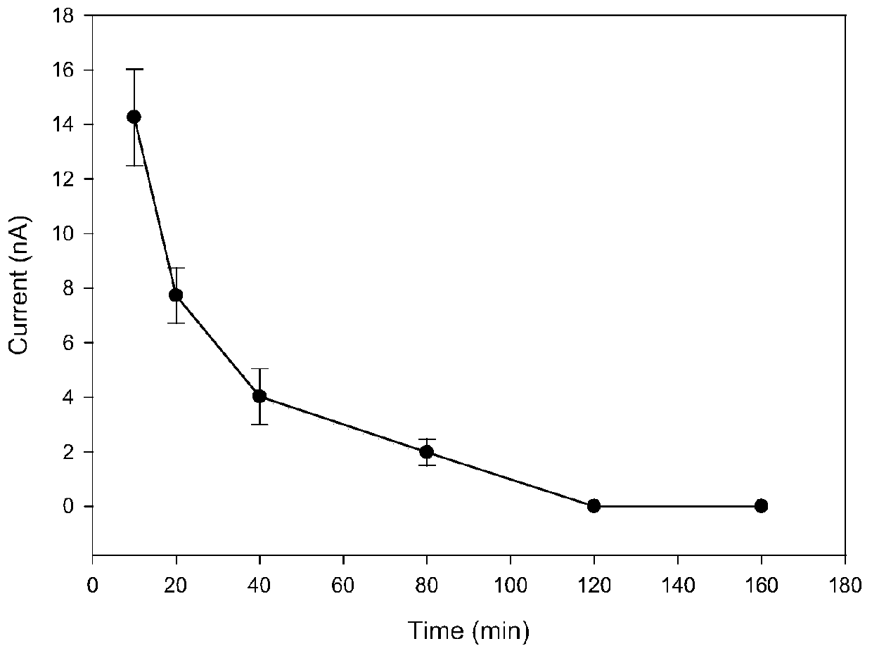 An aptamer probe for detecting two tumor markers, an electrochemical biosensor, its preparation method and application