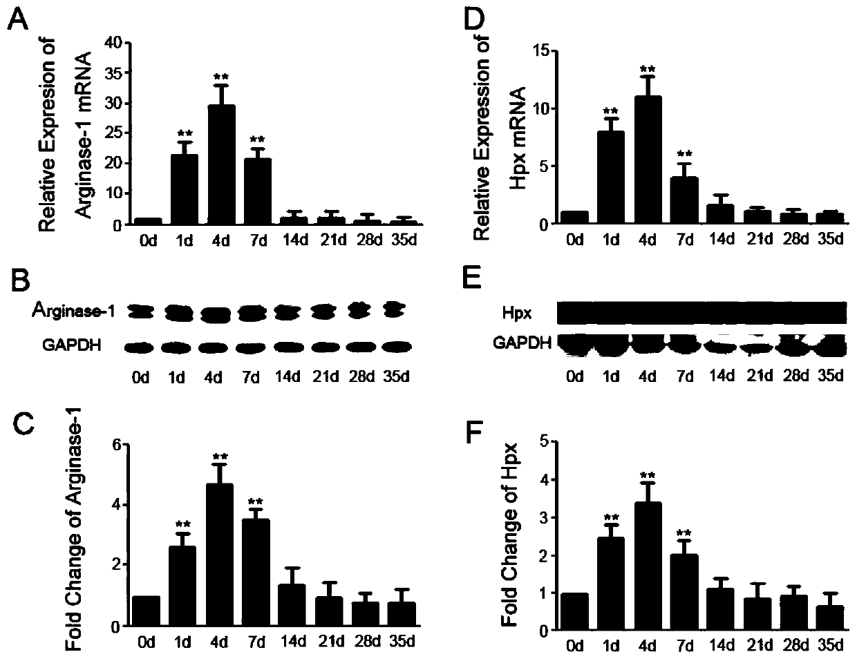 Method and application of hpx protein to induce and maintain selective polarization of microglia