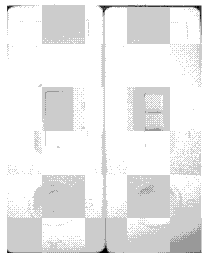 Preparation method of test strip for morphine detection and application thereof