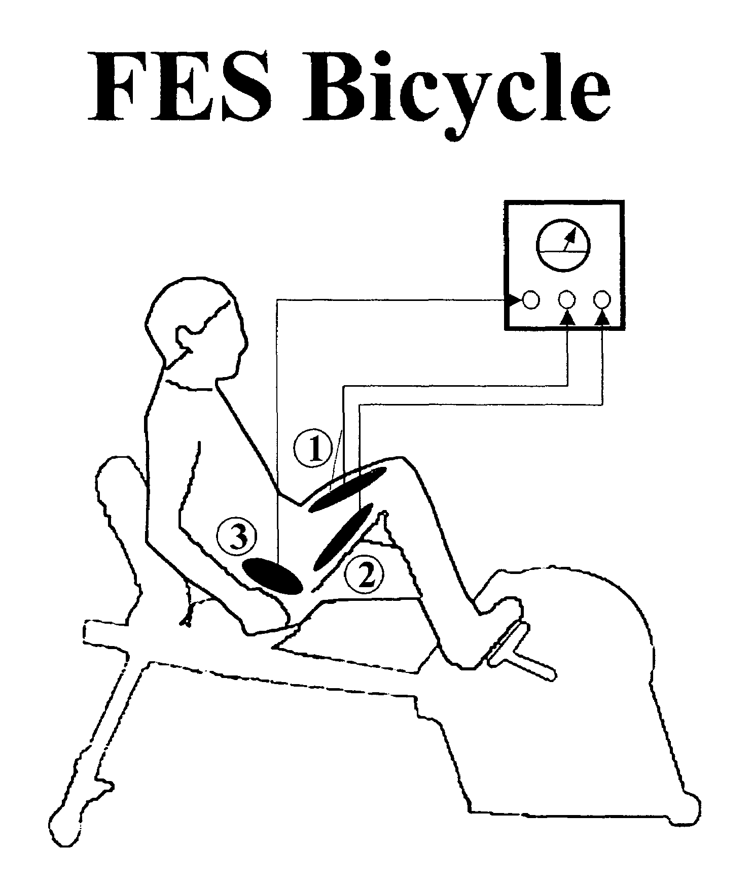 Methods for treating central nervous system damage