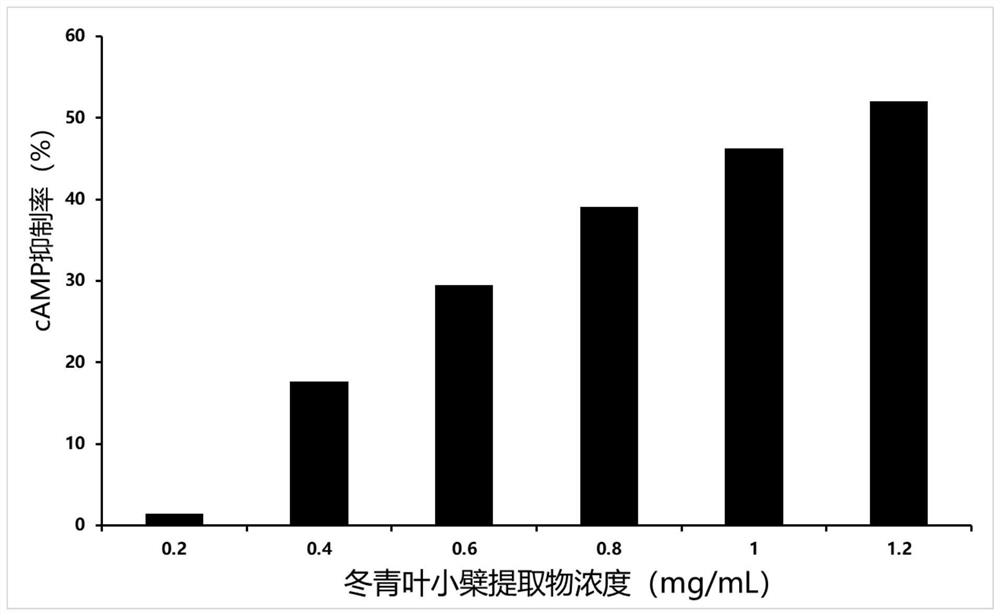 Whitening composition, skin brightening lotion and preparation method thereof