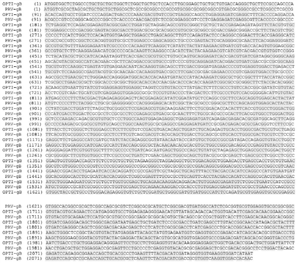 GB subunit recombinant protein of porcine pseudorabies virus, and preparation method and application of gB subunit recombinant protein