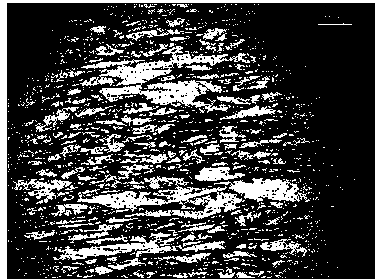 Thick-specification acid-corrosion-resisting X65 pipeline steel plate and manufacturing method thereof