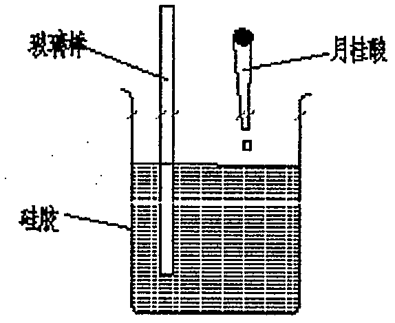 Filling adhesive for visible-light light cone